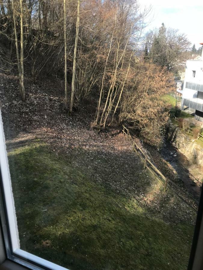 Gaestezimmer Am Oos Bach Baden-Baden Eksteriør bilde